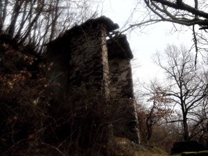 IMG_20140217_110934[1]