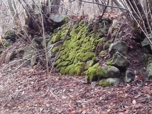 IMG_20140217_111849[1]