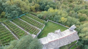 screen_c0d438bb449c8c60_1444632380000